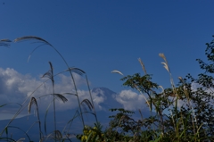 ”富士を越えた”