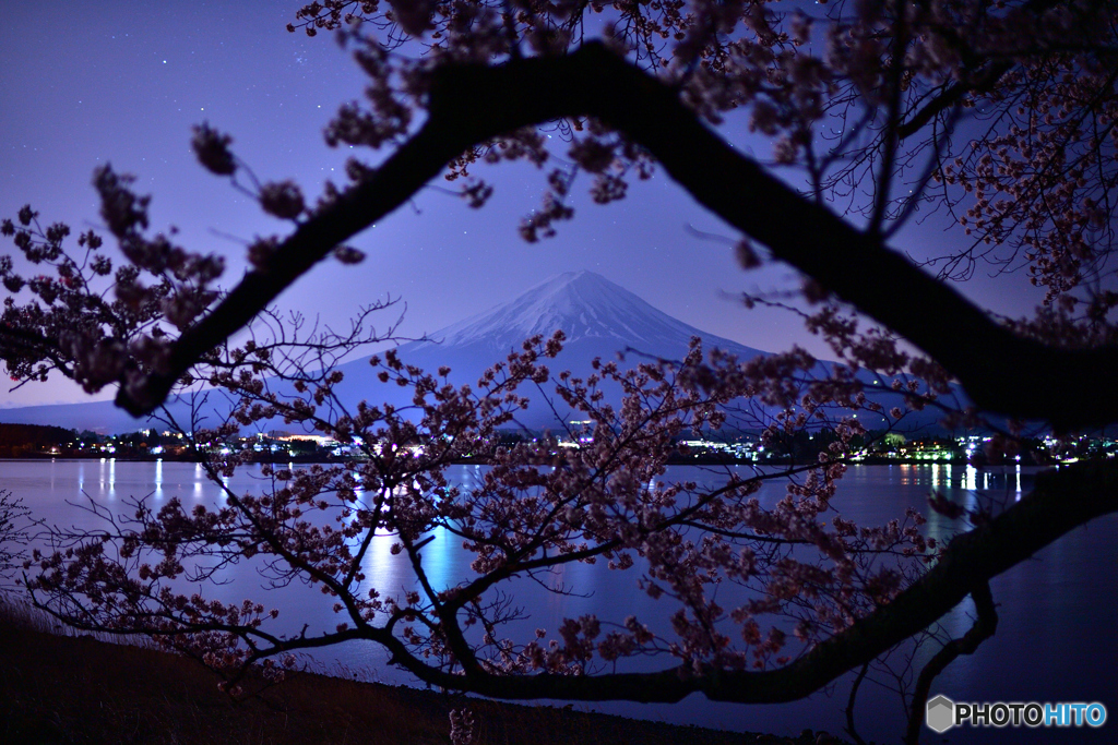 富士に感謝し桜の額装