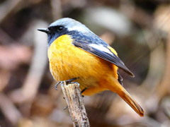 p3070712