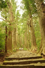 熊野古道