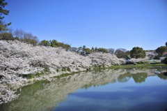 名城公園　Meijo park, Nagoya, JAPAN