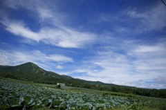 嬬恋　Tsumagoi, Gunma, JAPAN