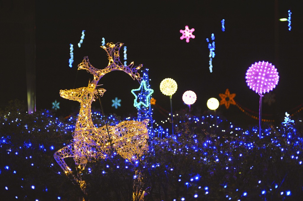 Illuminations on X'mas holiday