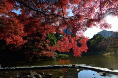 紅葉