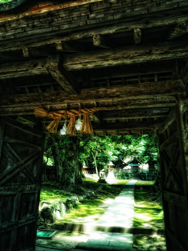 ここからは神の聖域