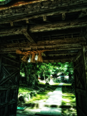 ここからは神の聖域