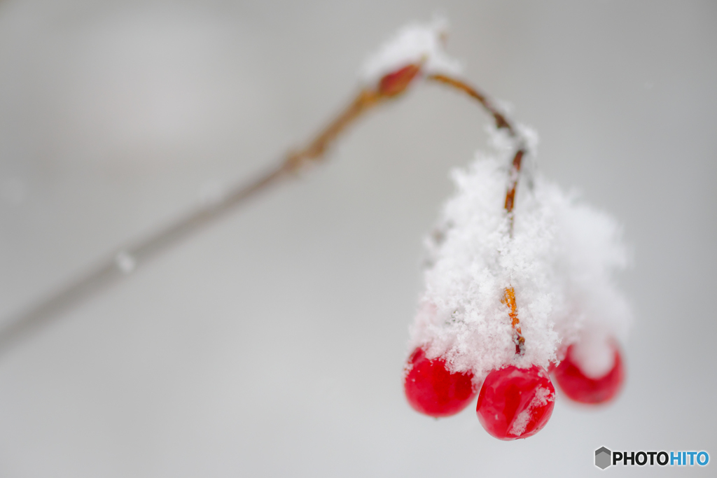 大雪