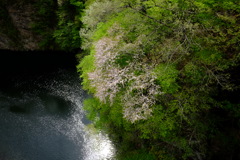 鶴沼川