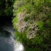 鶴沼川