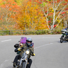 国道400号線　舟鼻峠