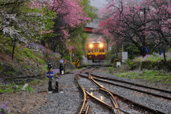 わたらせ渓谷鐵道