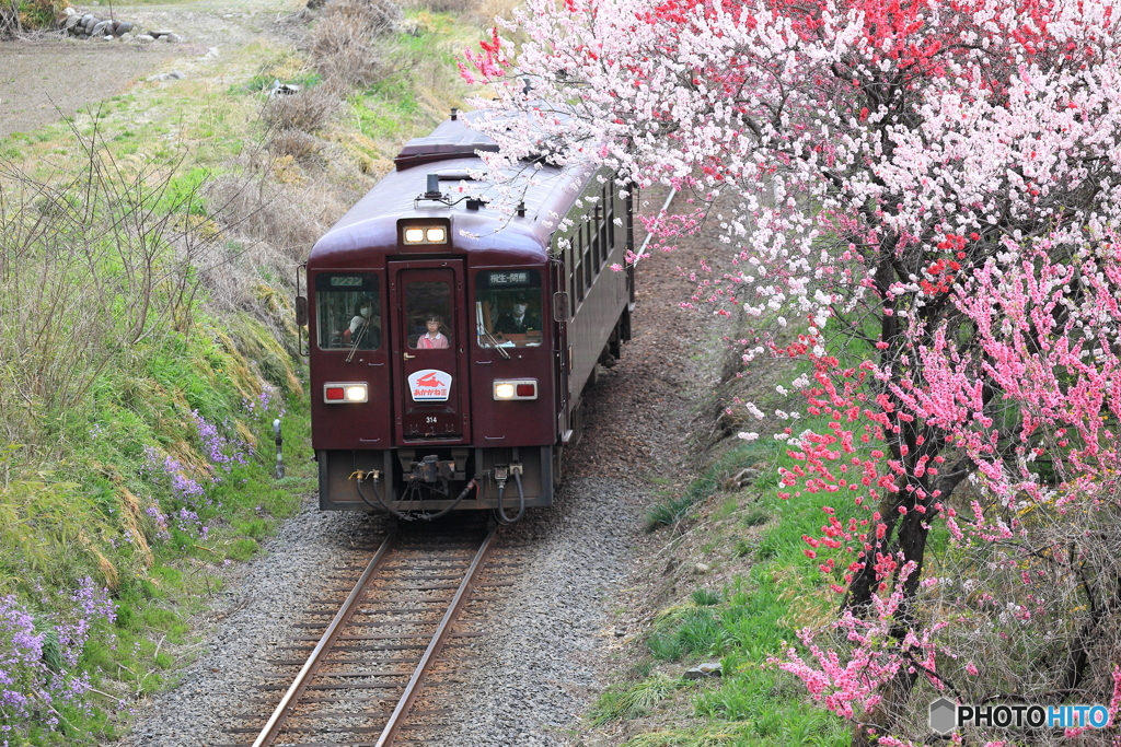 わたらせ渓谷鐵道