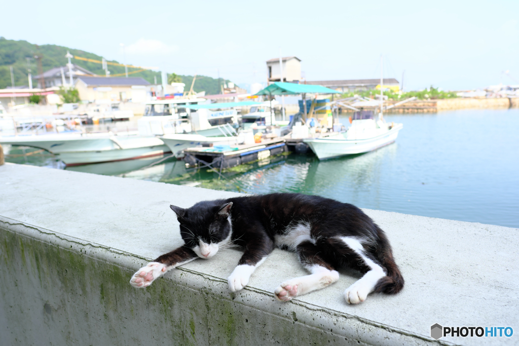 真鍋島