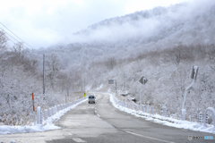 国道400号線　舟鼻峠