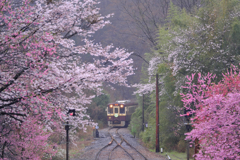 わたらせ渓谷鐵道