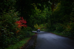 国道352号線　桧枝岐村