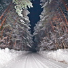 雪道