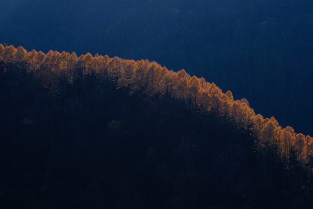 大内宿こぶしライン