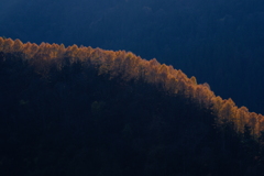 大内宿こぶしライン