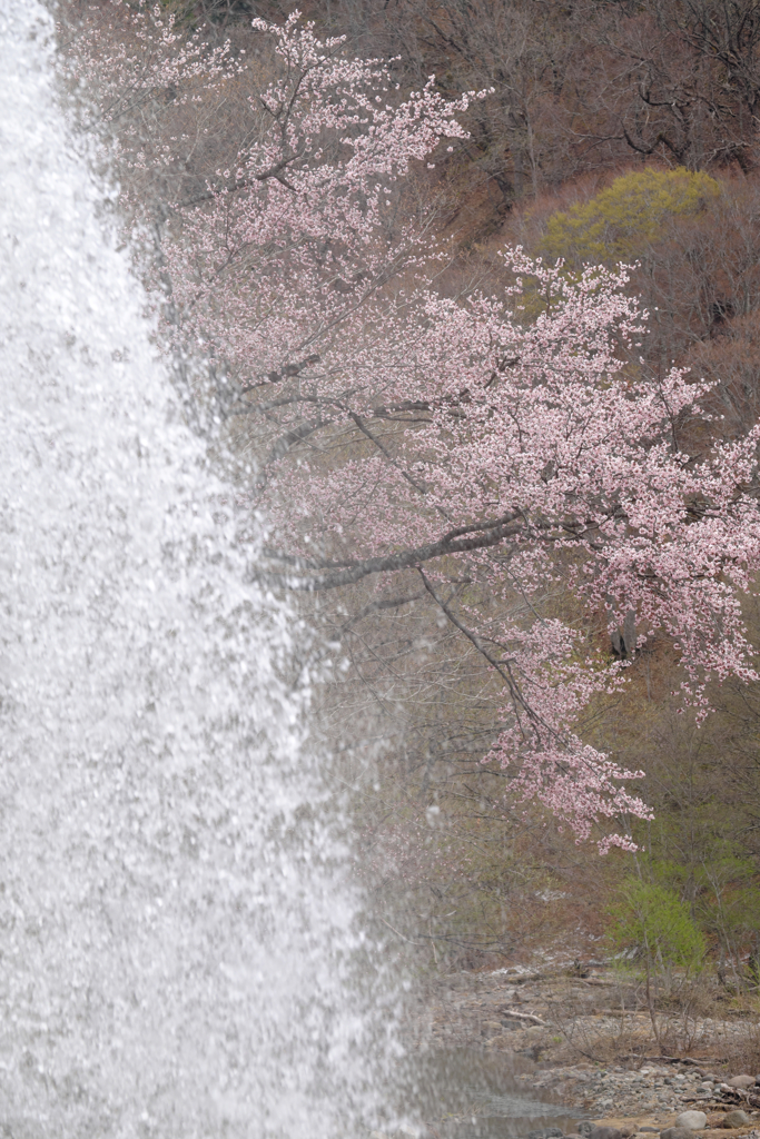 雪解け水
