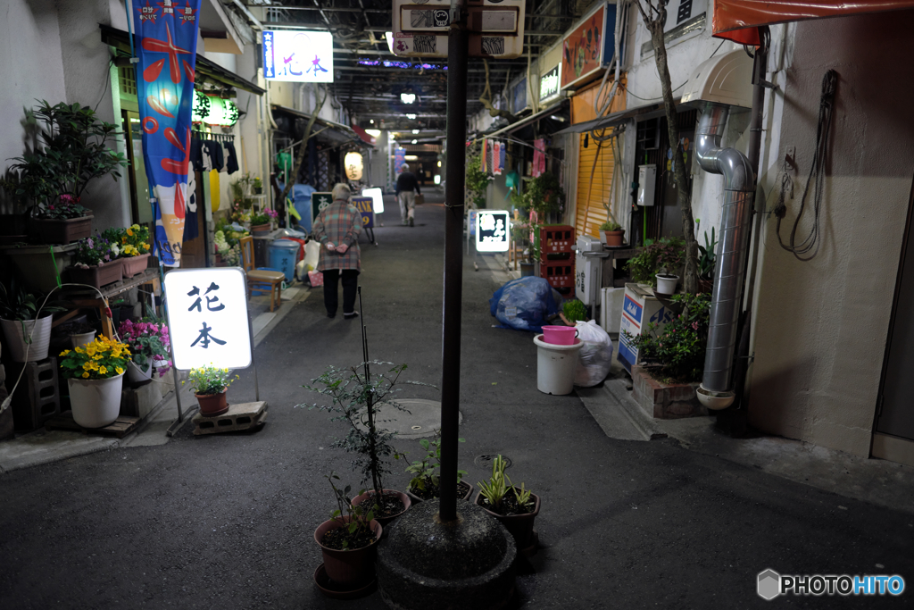 初音小路