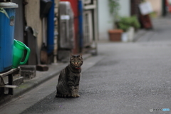 新宿ゴールデン街