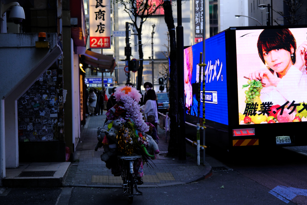 新宿区役所通り