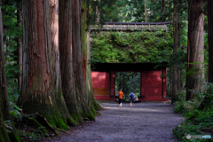 戸隠神社