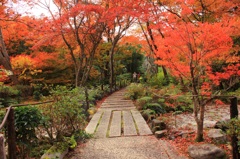 紅葉のトンネル