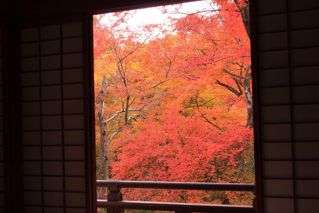 麩から覗く紅葉