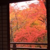 麩から覗く紅葉