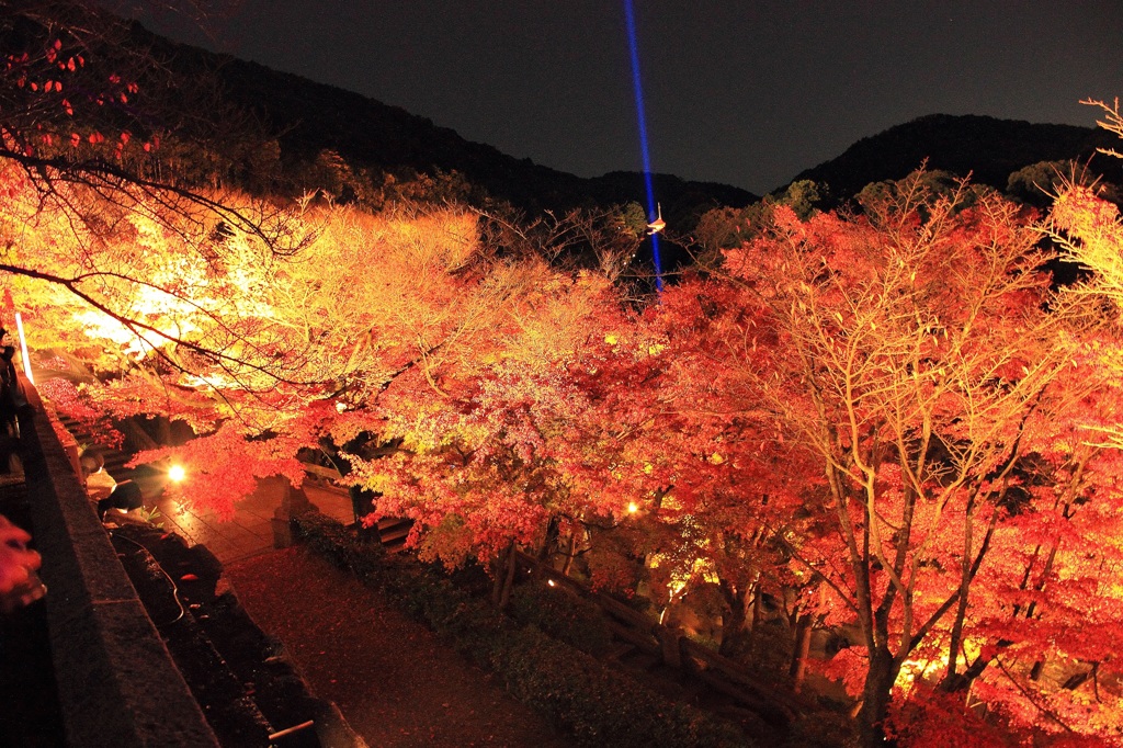 夜も紅く染まる
