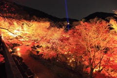 夜も紅く染まる