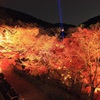 夜も紅く染まる