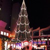 光を灯したクリスマスツリー