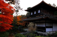 秋の銀閣寺