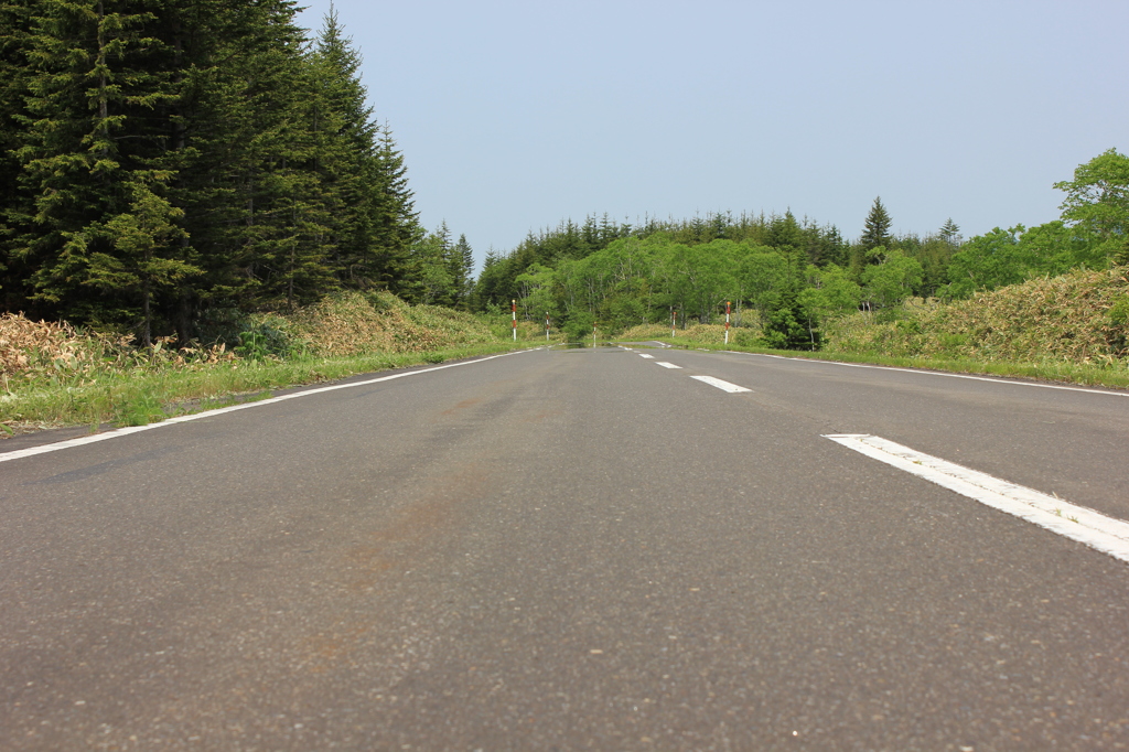 道路