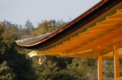 究極の美