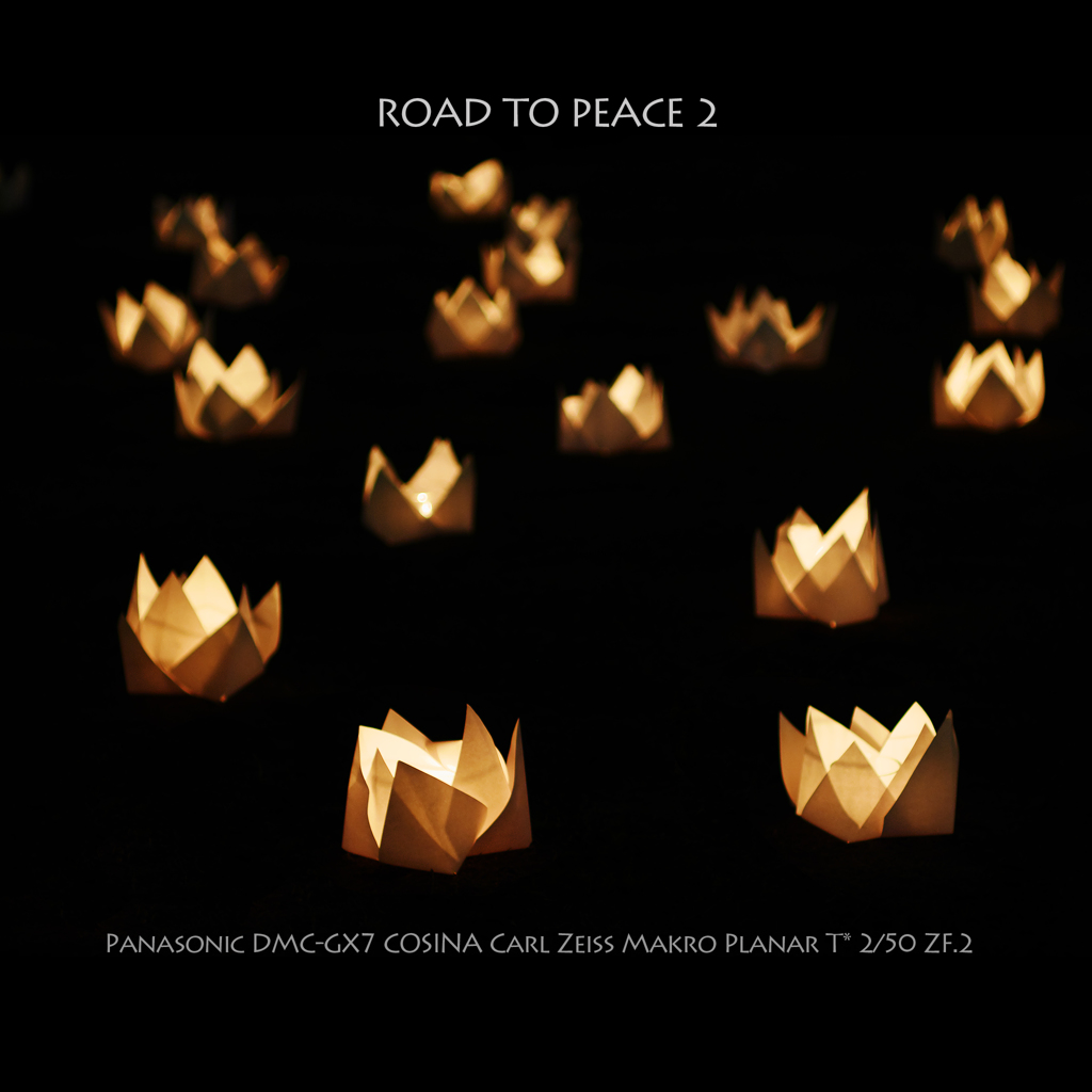 ROAD TO PEACE 2