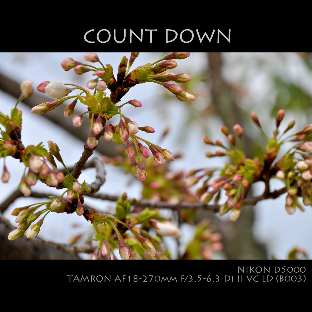 COUNT DOWN