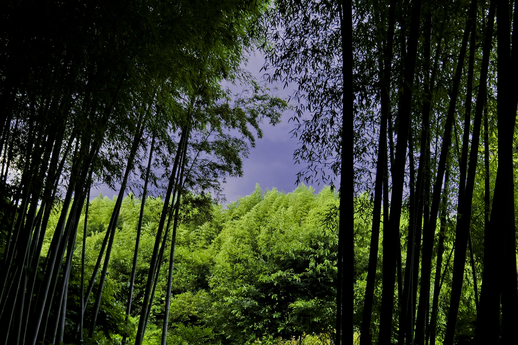 雨のにおい