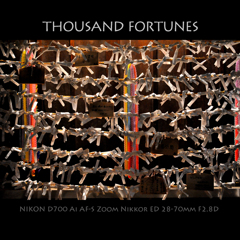 THOUSAND FORTUNES