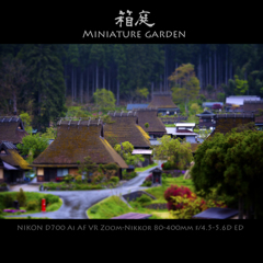 箱庭 Miniature garden