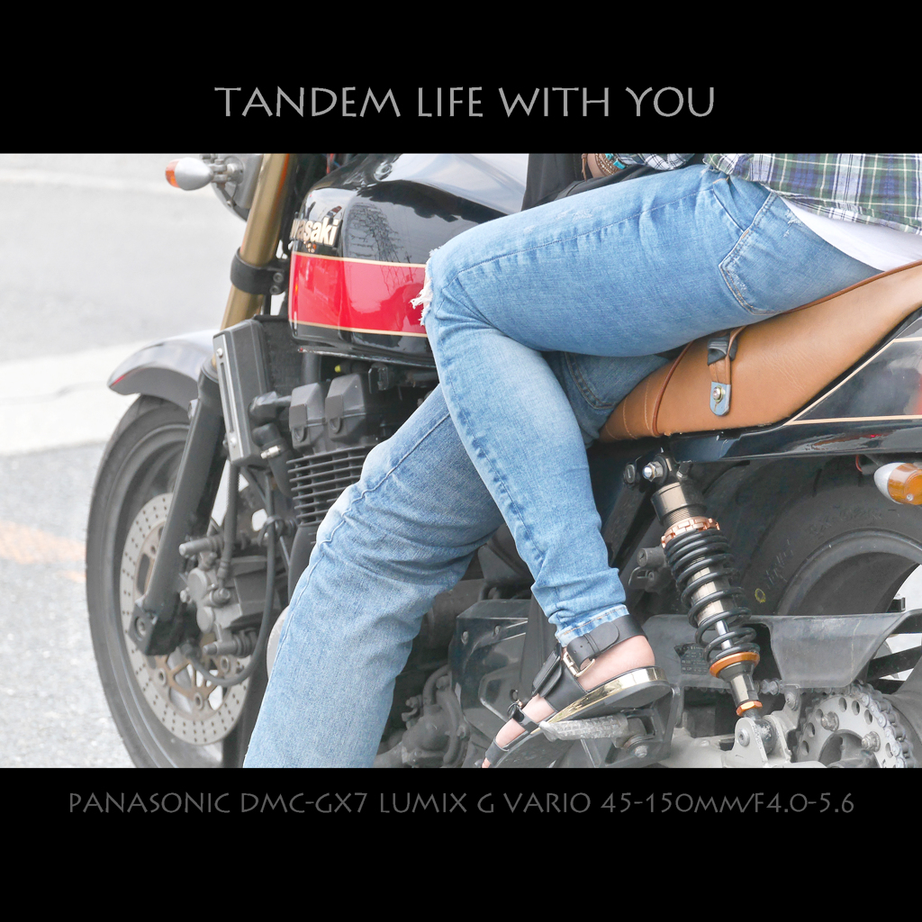 TANDEM LIFE WITH YOU
