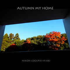 AUTUMN MY HOME