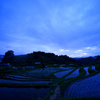 棚田の夜明け