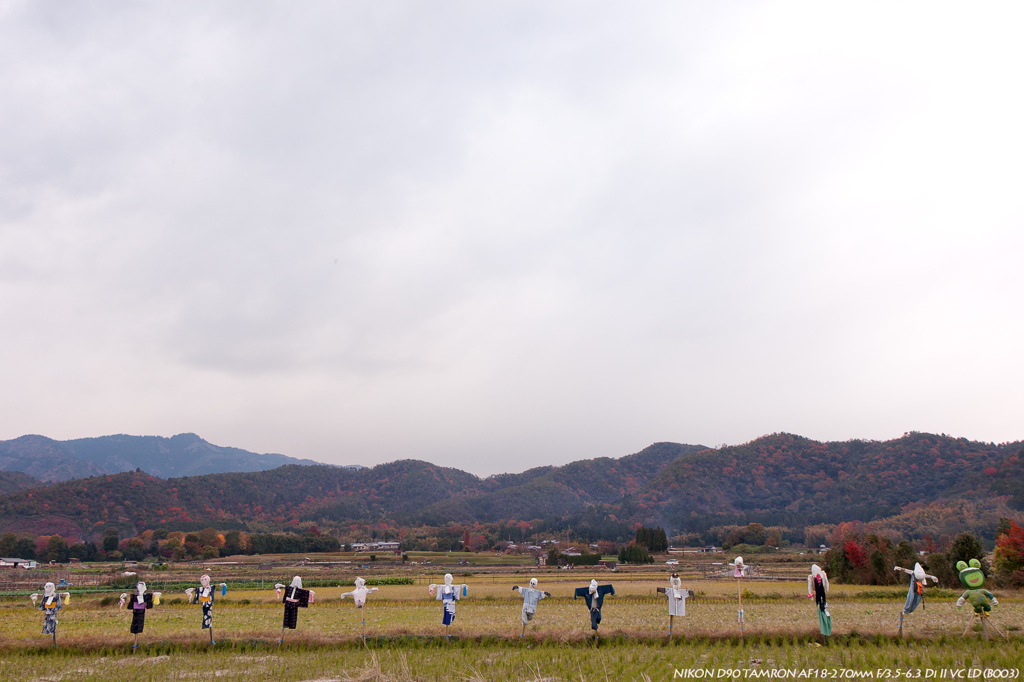 京都嵯峨野に吹く風は