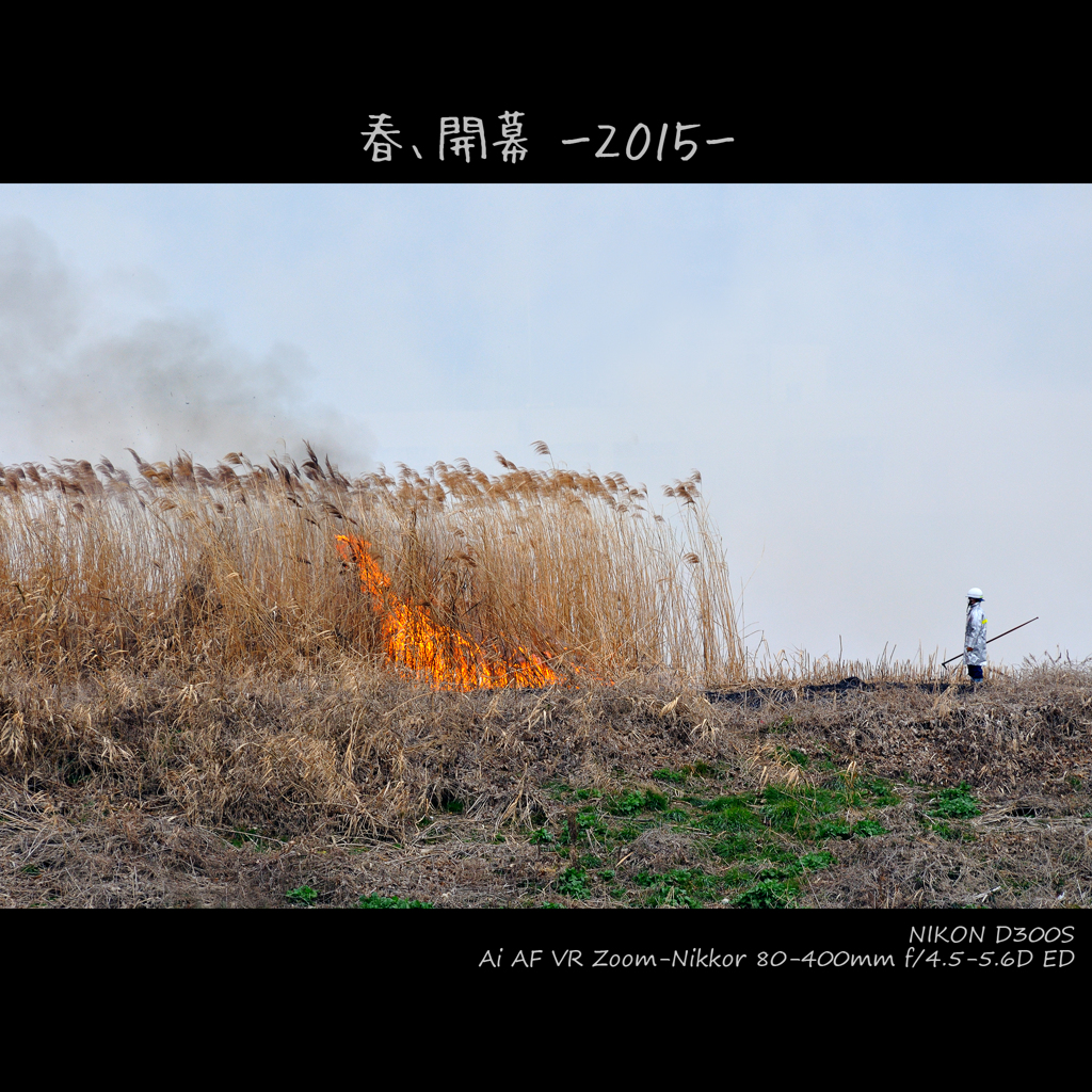 春、開幕 -2015-