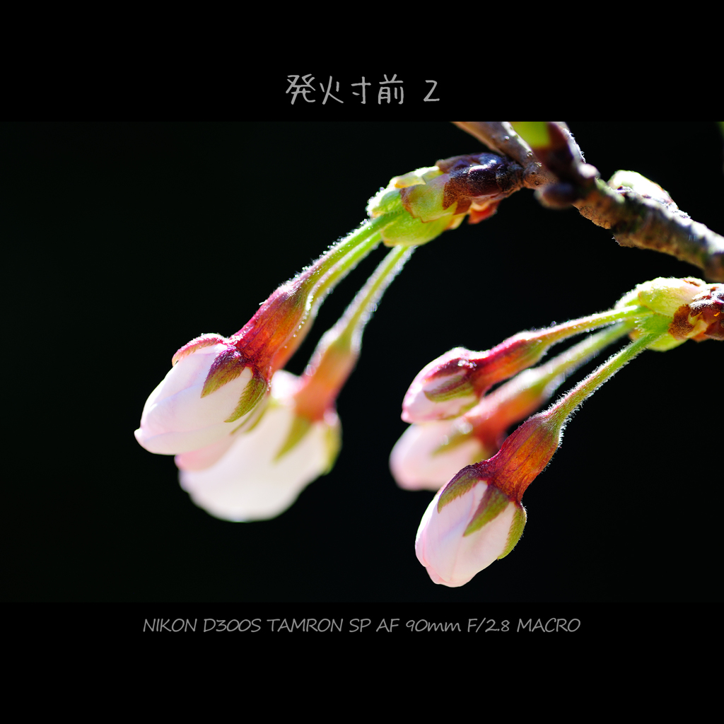 発火寸前 ２