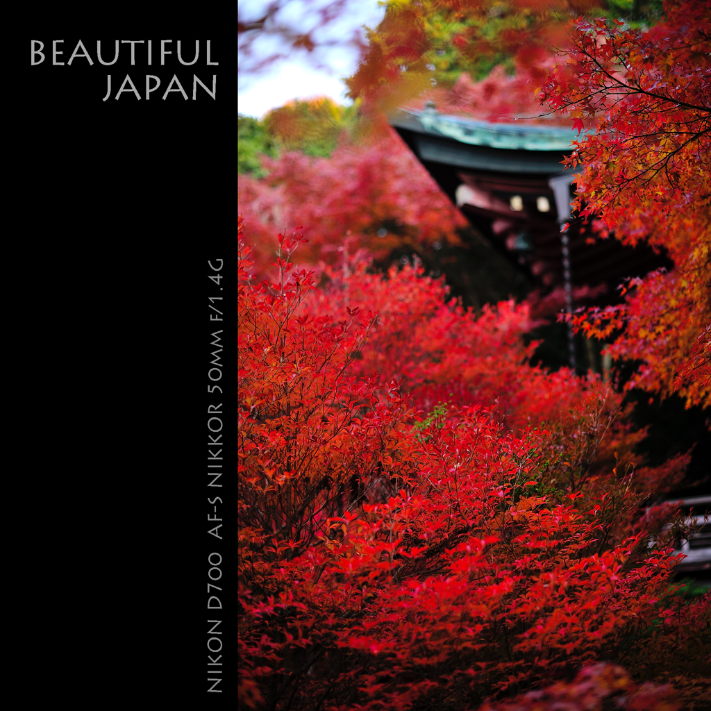 BEAUTIFUL JAPAN